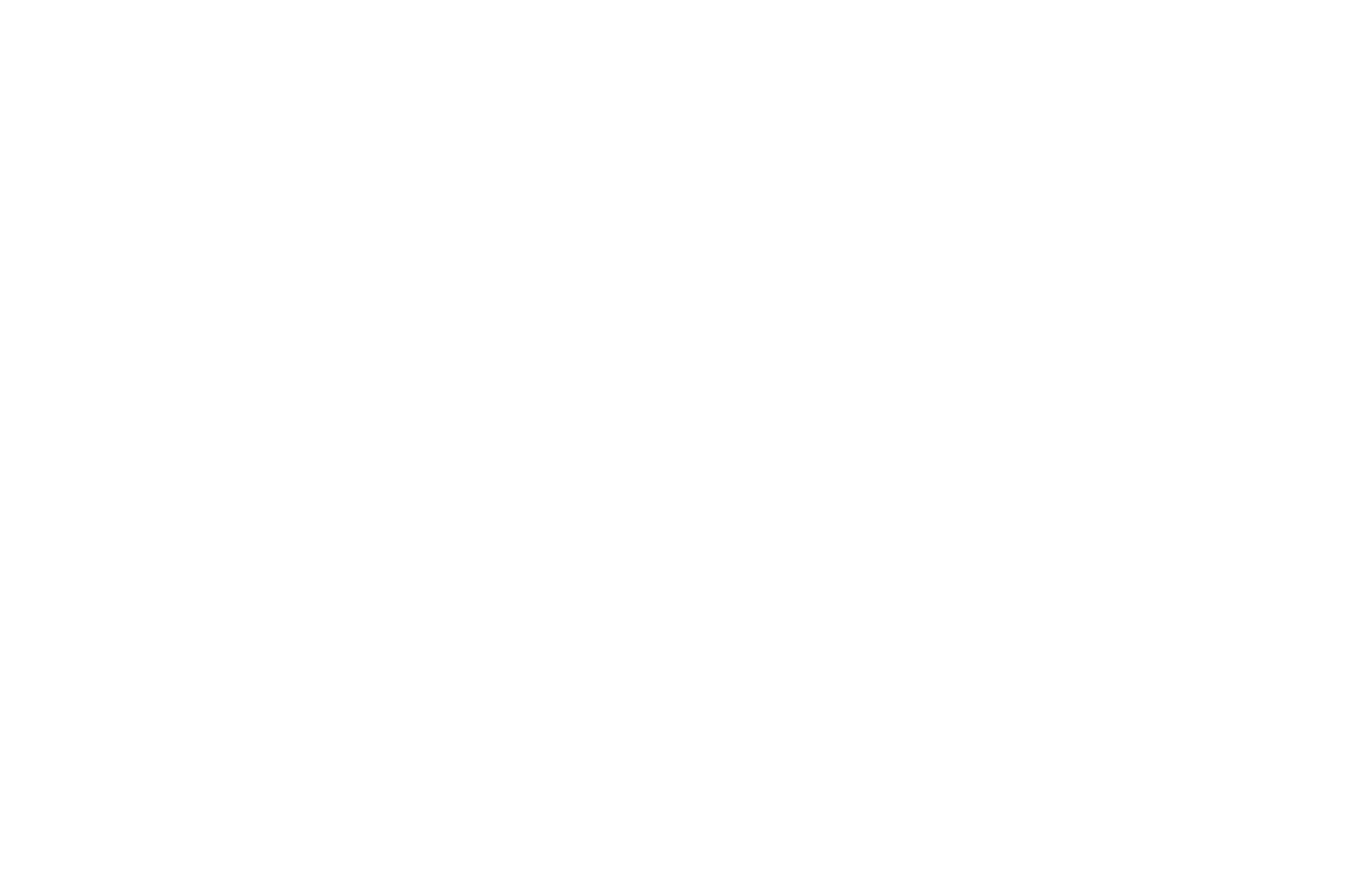 Official Selection · CARO Festival Internacional de Cine en Centroamérica 2020
