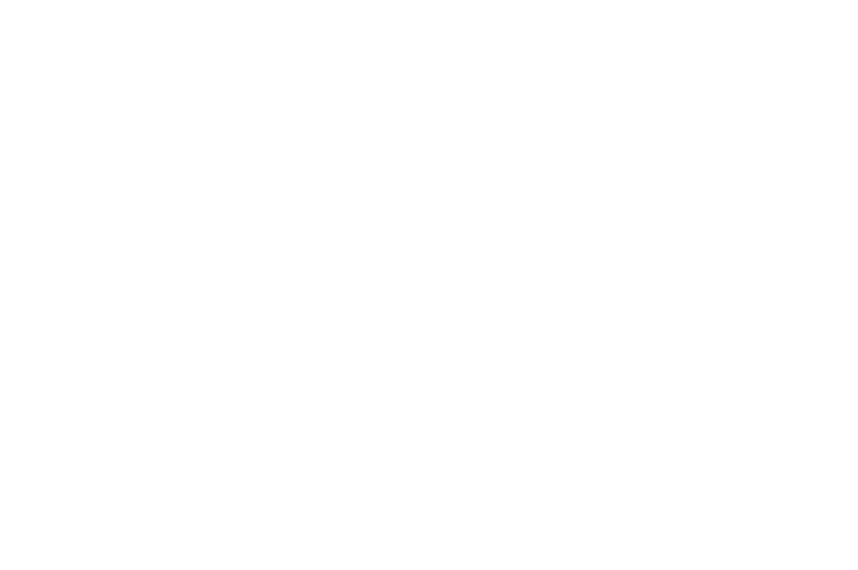 Official Selection · Chicago AI Film Festival 2024