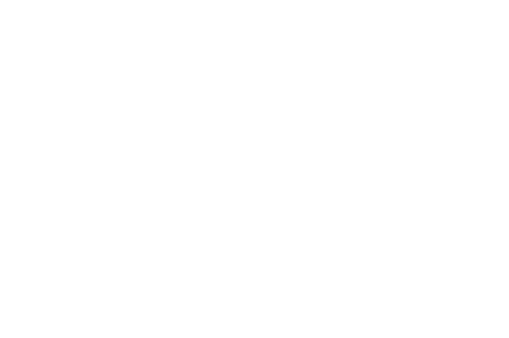Official Selection · Video Art and Experimental Film Festival 2021
